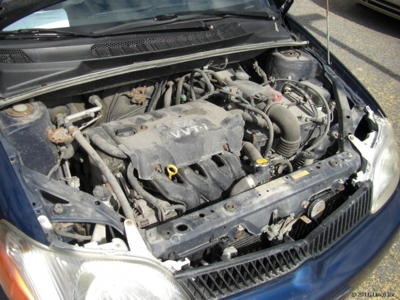 Limco - Toyota Echo 2002