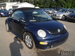 Volkswagen New Beetle GLS 2003 photo 2