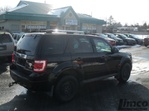 Ford Escape Limited 4x4 2009 photo 3
