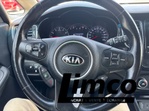 Kia RONDO EX 2014 photo 11