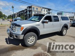 Ford F150  2010